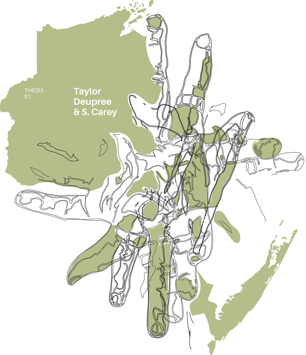 THESIS 01 - S. Carey & Taylor Deupree 1/11