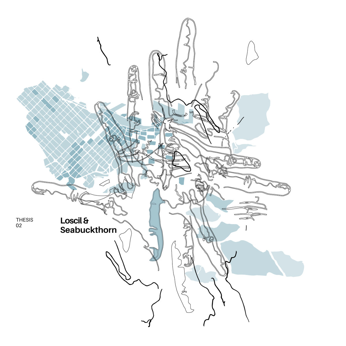 THESIS 02 - Loscil & Seabuckthorn 2/11